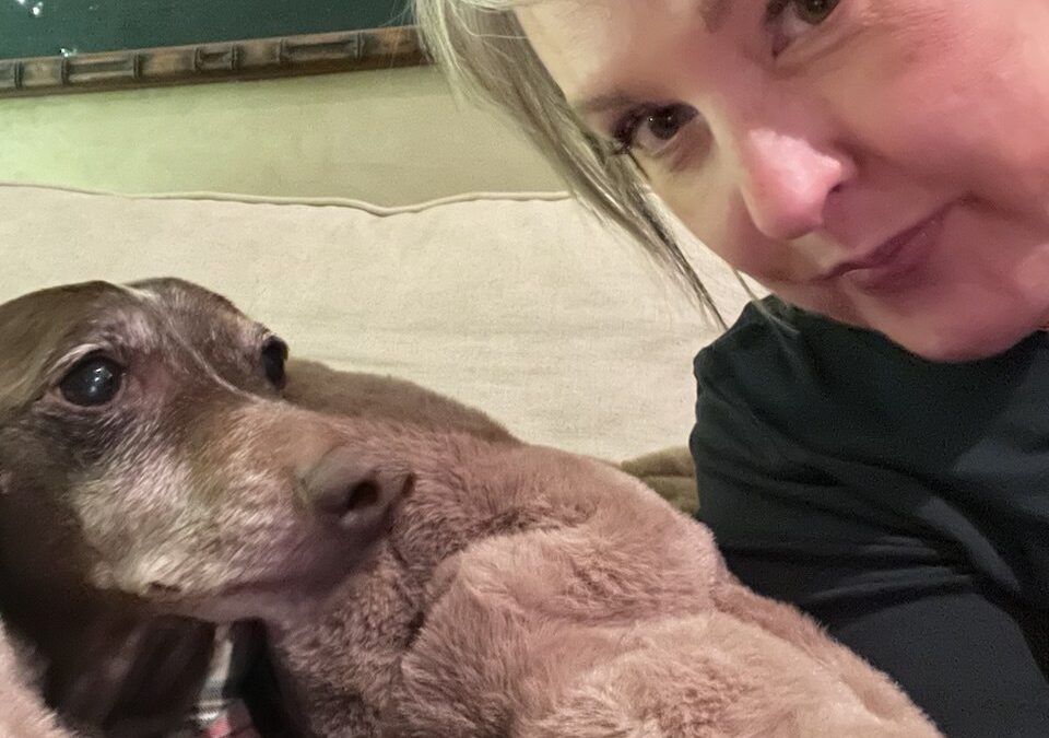 167- There’s a Tingle In His Jingle